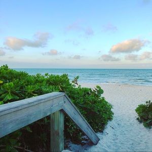 Meet your Posher, Antonia